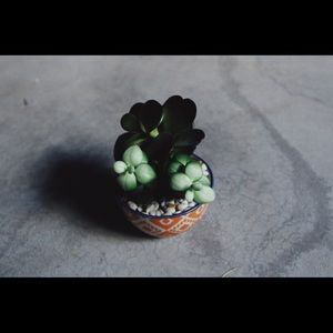 Faux Succulent